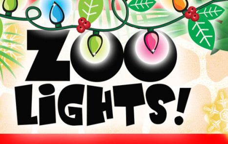 Zoo-Lights-website-Header-900x350