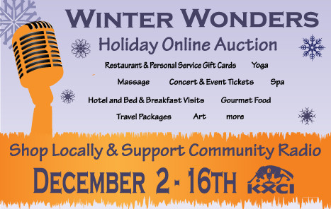 Website-Auction-Image-2013