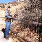 poison-ivy-in-Bisbee