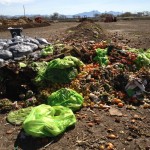 compost
