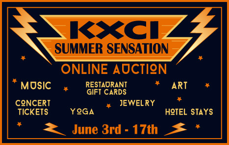 Website-Auction-Image-Summer-2014