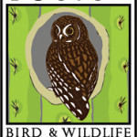 Tucson Bird Festival v2