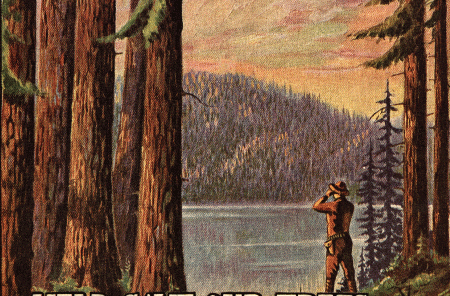 WildernessAct_cabdiv