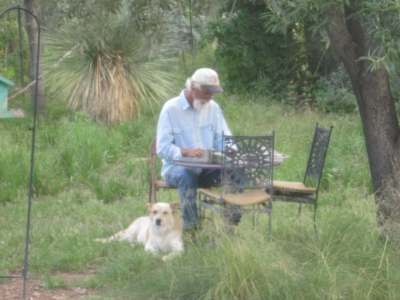 Finding Wild Things