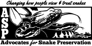 ASP logo