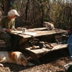 pedro-hard-at-work1