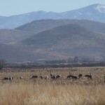 IMG_6920
