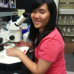 Julie-Huynh