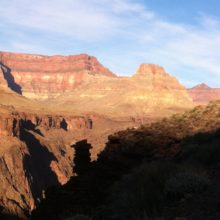 A poem inspired by the Canyon Wren