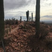 Brown Mt. Trail Corrections