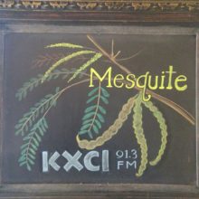 Locals Only – Mesquite – Live In Studio 2A