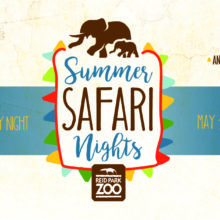 Summer Safari Nights