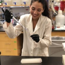 Thesis Thursday- Sara Sillik