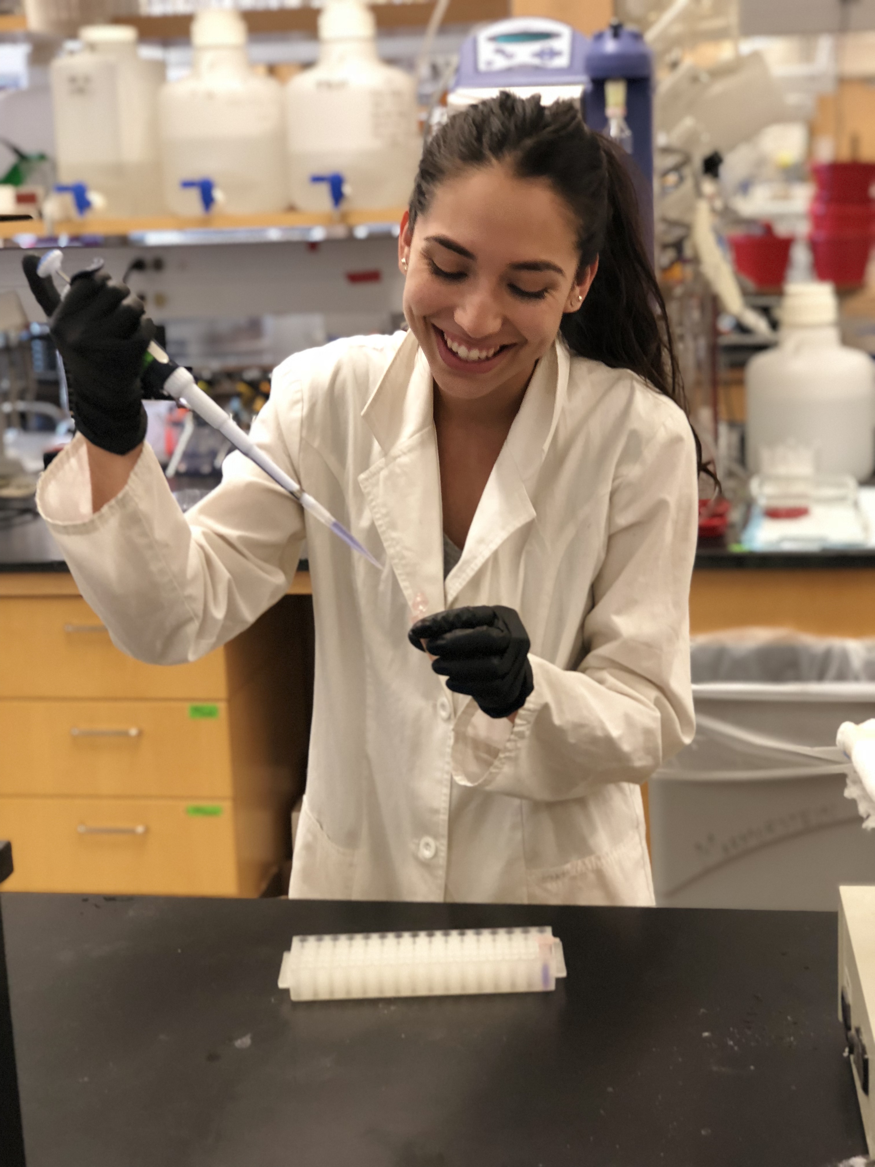 Sara thesis 08 image