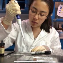 Thesis Thursday- Tiffany Cho