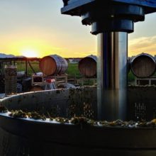 2019 Southeast Arizona Wine Growers Festival
