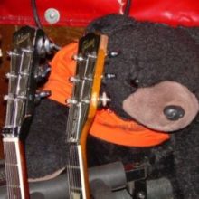 Salem the Bear’s Annual Food Drive
