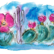 Desert Blooms