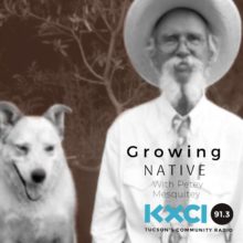 Growing Native with Petey Mesquitey Growing Native with Petey Mesquitey