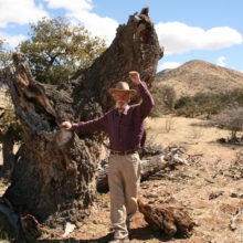 Tan My Hide with Rumex