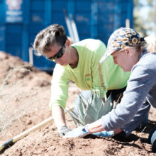 Shamrock Planting and Restoration Work Day