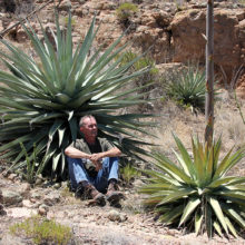Chasing Centuries: The Search for Ancient Agave Cultivars Across the Desert Southwest