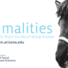 UA Downtown Lecture: “Łįį’ (Navajo Horse) as Healer and Educator”