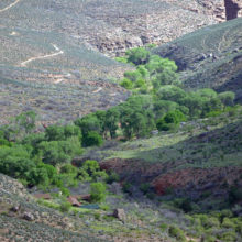 Boucher to Bright Angel Day 7 – Up the Bright Angel Trail