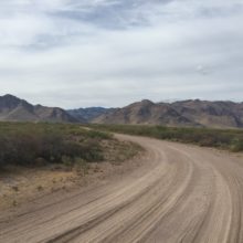 Petey’s Fall Hunt and Gather