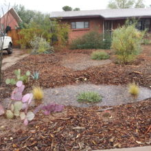 Virtual Field Studies Class: How to Care for Rain Gardens