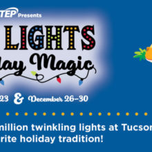 ZooLights 2020: Holiday Magic