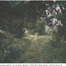 Why Photography 2021