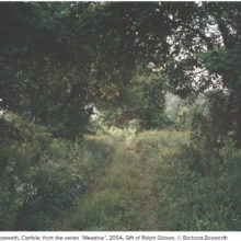 Why Photography 2021