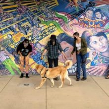 KXCI & Ironwood Tree Experience Highlight Youth Voices on Earth Day 2021