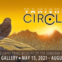 “Vanishing Circles” Art Exhibition: Portraits of Disappearing Wildlife of the Sonoran Desert Region | Arizona-Sonora Desert Museum