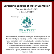Surprising Benefits of Water Cremation