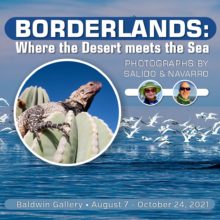 Borderlands: Where the Desert meets the Sea – Photographs by Salido & Navarro | Arizona-Sonora Desert Museum