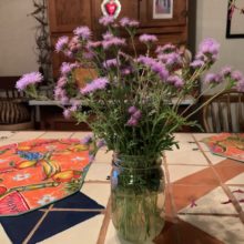 Gregg’s Mistflower