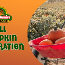 Apple Annie’s Orchard: Fall Pumpkin Celebration