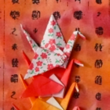 Origami Greeting Card Class