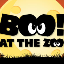 Boo At The Zoo 2022