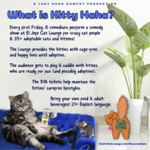 Kitty Haha; Comedy for cats, performed by crazy cat comedians