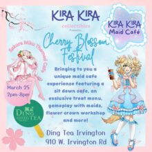 Cherry Blossom Festival