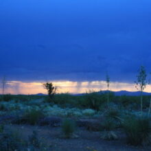 Joyous Monsoon Season