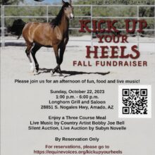 “Kick Up Your Heels” – Dance for the Horses