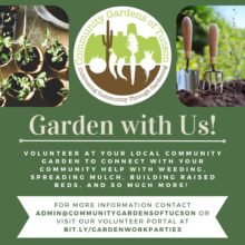 Community Gardens of Tucson Volunteer Opportunities