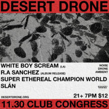 Desert Drone