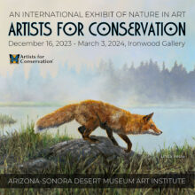 Art Exhibition- ARTISTS FOR CONSERVATION An International Exhibit of Nature in Art