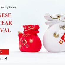 Japanese New Year Festival 2024