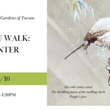 Haiku Walk: Winter